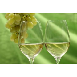 Vino da tavola Bianco 12