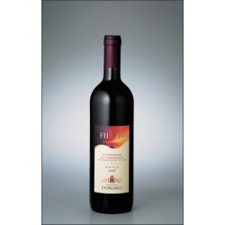 Filieri Rosso 2009