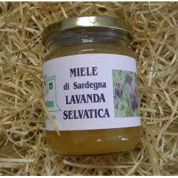 Miele di Sardegna   Campidano   Lavanda Selvatica