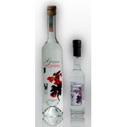 grappa di Cannonau